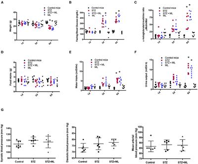 α-Ketoglutarate Upregulates Collecting Duct (Pro)renin Receptor Expression, Tubular Angiotensin II Formation, and Na+ Reabsorption During High Glucose Conditions